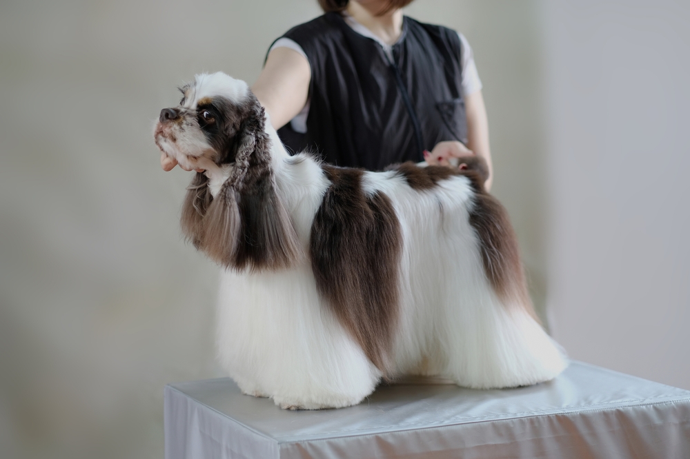 Grooming and Care