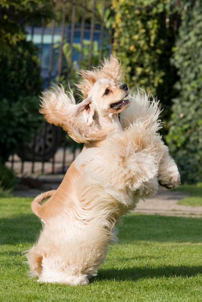 Mind-Body Activities for Stress Relief